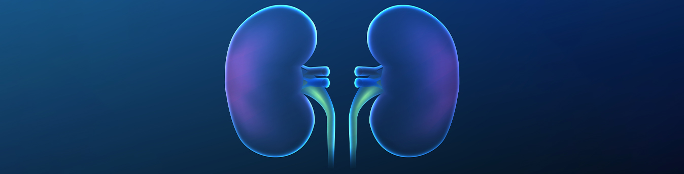 Chronic kidney disease: Getting familiar with the most common types